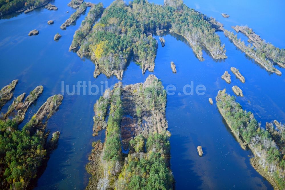 Luftaufnahme Großkoschen - Uferbereiche des Sees Senftenberger See in Großkoschen im Bundesland Brandenburg, Deutschland