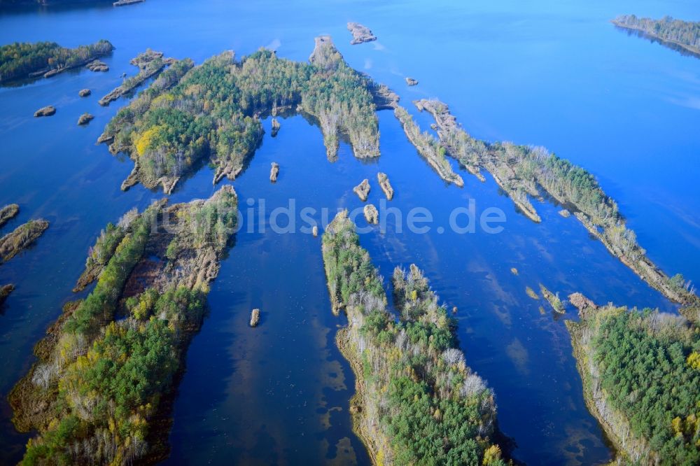 Großkoschen von oben - Uferbereiche des Sees Senftenberger See in Großkoschen im Bundesland Brandenburg, Deutschland