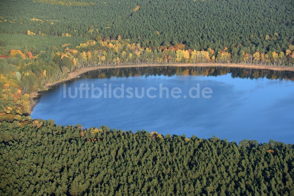Luftaufnahme Grünheide (Mark) - Uferbereiche des Sees Störitzsee in Grünheide (Mark) im Bundesland Brandenburg