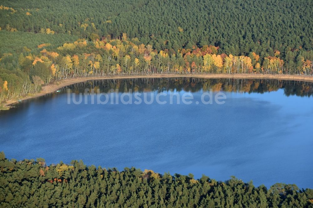 Grünheide (Mark) von oben - Uferbereiche des Sees Störitzsee in Grünheide (Mark) im Bundesland Brandenburg