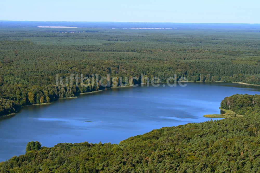 Binenwalde aus der Vogelperspektive: Uferbereiche des Sees Tornowsee in Binenwalde im Bundesland Brandenburg, Deutschland