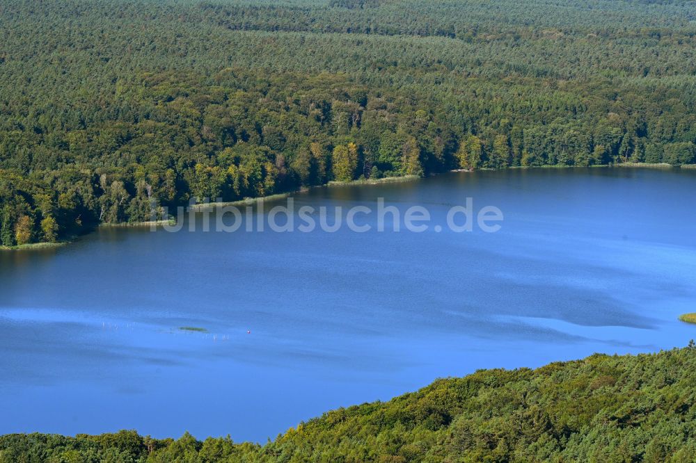 Luftbild Binenwalde - Uferbereiche des Sees Tornowsee in Binenwalde im Bundesland Brandenburg, Deutschland