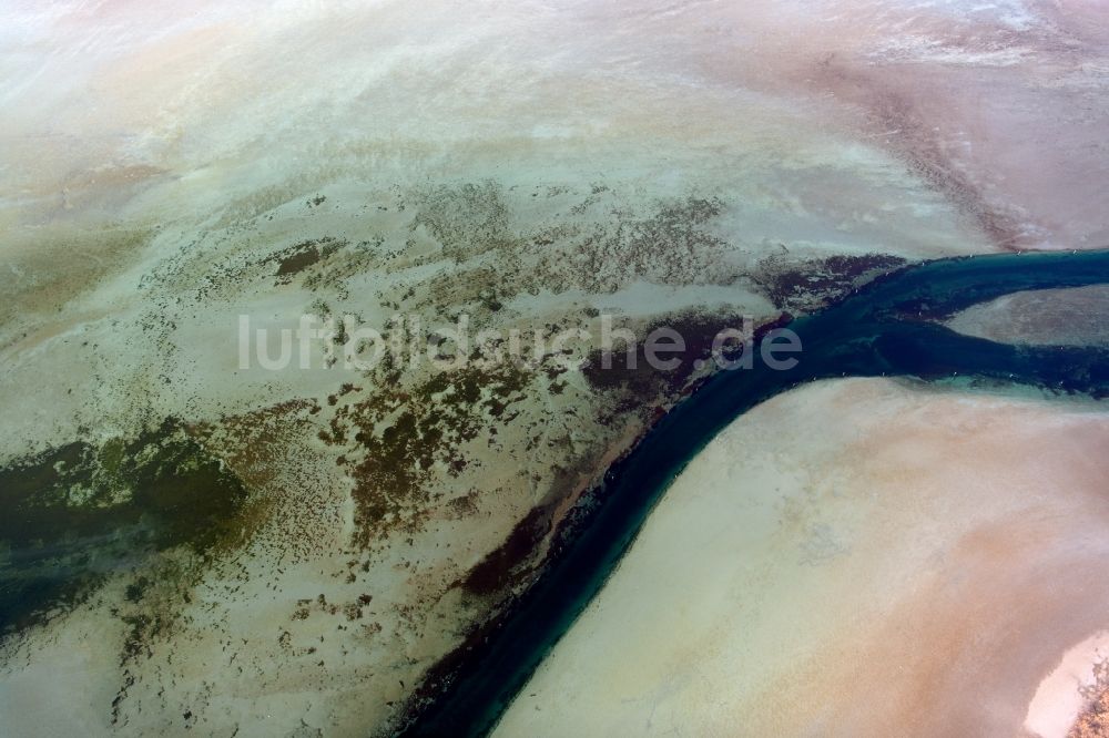 Luftbild Konstanz - Uferbereiche des Sees am Untersee in Konstanz im Bundesland Baden-Württemberg, Deutschland
