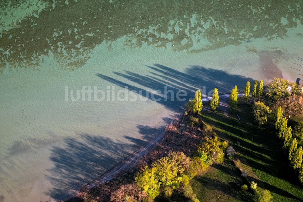 Luftaufnahme Gaienhofen - Uferbereiche des Sees Untersee nahe Bodensee in Gaienhofen im Bundesland Baden-Württemberg, Deutschland