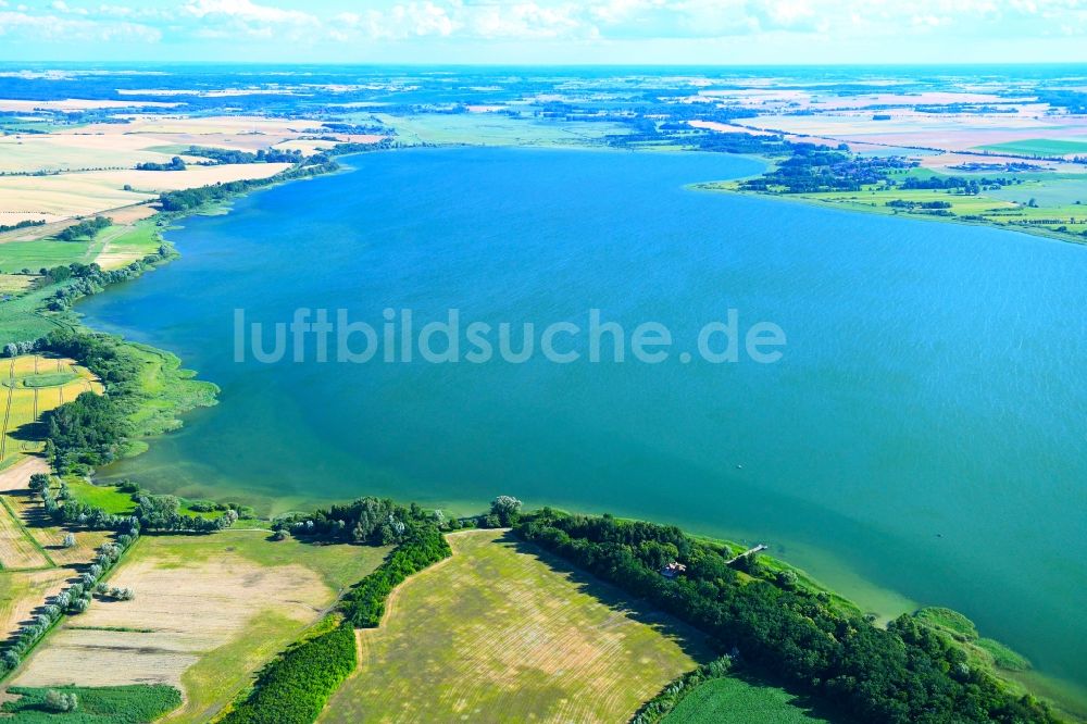 Prenzlau von oben - Uferbereiche des Sees Unteruckersee in Prenzlau im Bundesland Brandenburg, Deutschland