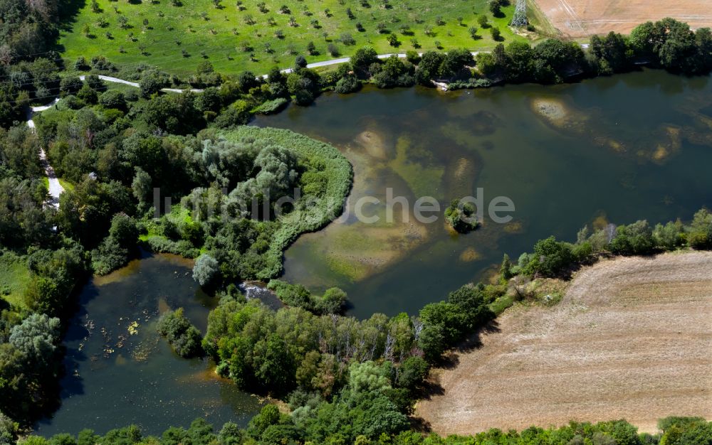Luftbild Vechelde - Uferbereiche eines Sees mit Verlandungen angrenzend an landwirtschaftliche Flächen in Vechelde im Bundesland Niedersachsen, Deutschland