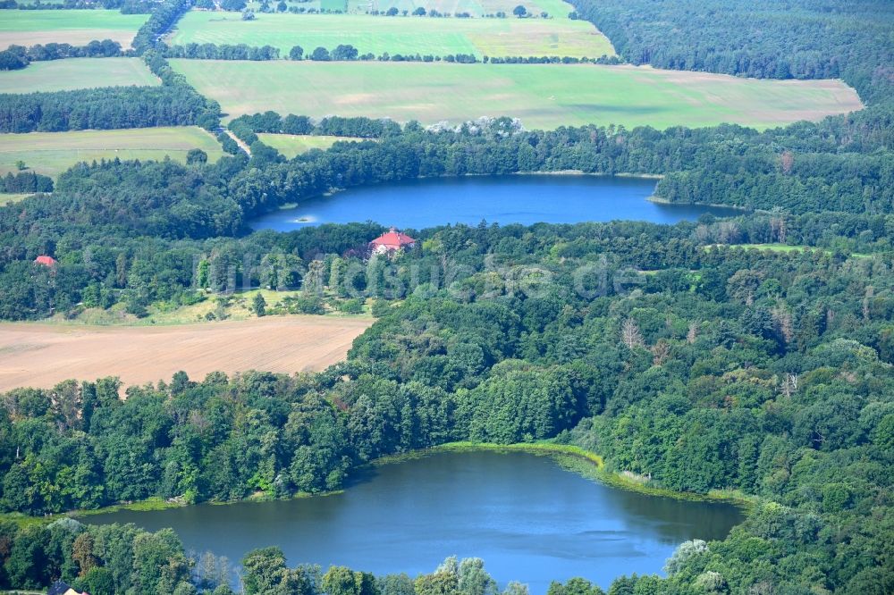 Luftbild Liebenberg - Uferbereiche des Sees Weißer See in einem Waldgebiet in Liebenberg im Bundesland Brandenburg, Deutschland