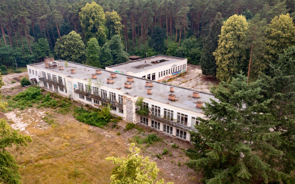 Joachimsthal von oben - Uferbereiche des Sees Werbellinsee entlang der Ruine Jugendtouristhotel in einem Waldgebiet in Joachimsthal im Bundesland Brandenburg, Deutschland