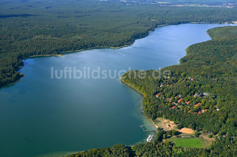 Luftbild Werbellinsee - Uferbereiche des Sees Werbellinsee in Werbellinsee im Bundesland Brandenburg, Deutschland