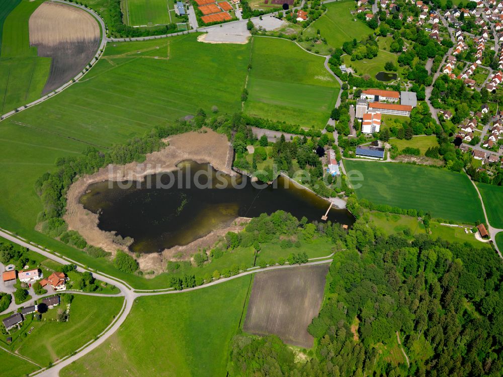 Luftbild Bad Schussenried - Uferbereiche des Sees Zeller See in Bad Schussenried im Bundesland Baden-Württemberg, Deutschland