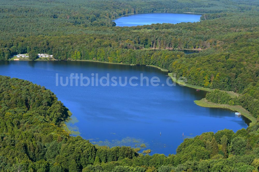 Krangen von oben - Uferbereiche des Sees Zermützelsee in einem Waldgebiet in Krangen im Bundesland Brandenburg, Deutschland