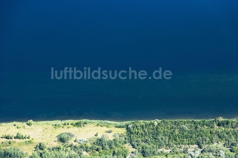 Löbnitz aus der Vogelperspektive: Uferbereiche des Selhausener See in einem Waldgebiet in Löbnitz im Bundesland Sachsen, Deutschland