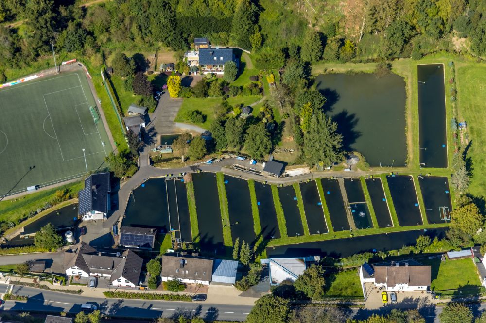 Luftbild Oberelspe - Uferbereiche der Teichanlagen zur Fischzucht der Fischerei Linn in Oberelspe im Bundesland Nordrhein-Westfalen, Deutschland