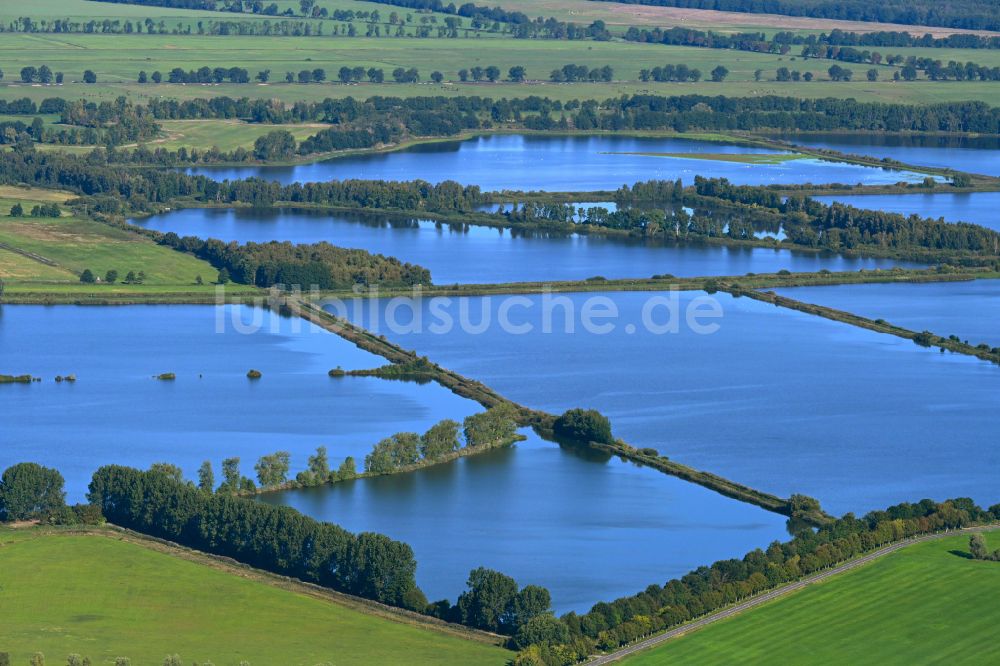 Dütschow von oben - Uferbereiche der Teichanlagen zur Fischzucht Fischteiche in der Lewitz in Dütschow im Bundesland Mecklenburg-Vorpommern, Deutschland