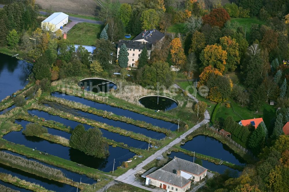 Luftaufnahme Lühnsdorf - Uferbereiche der Teichanlagen zur Fischzucht Forellenhof Niemegk in Lühnsdorf im Bundesland Brandenburg, Deutschland