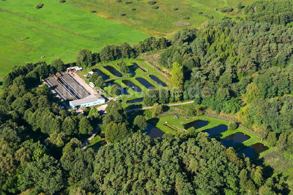 Luftaufnahme Krangen - Uferbereiche der Teichanlagen zur Fischzucht in Krangen im Bundesland Brandenburg, Deutschland