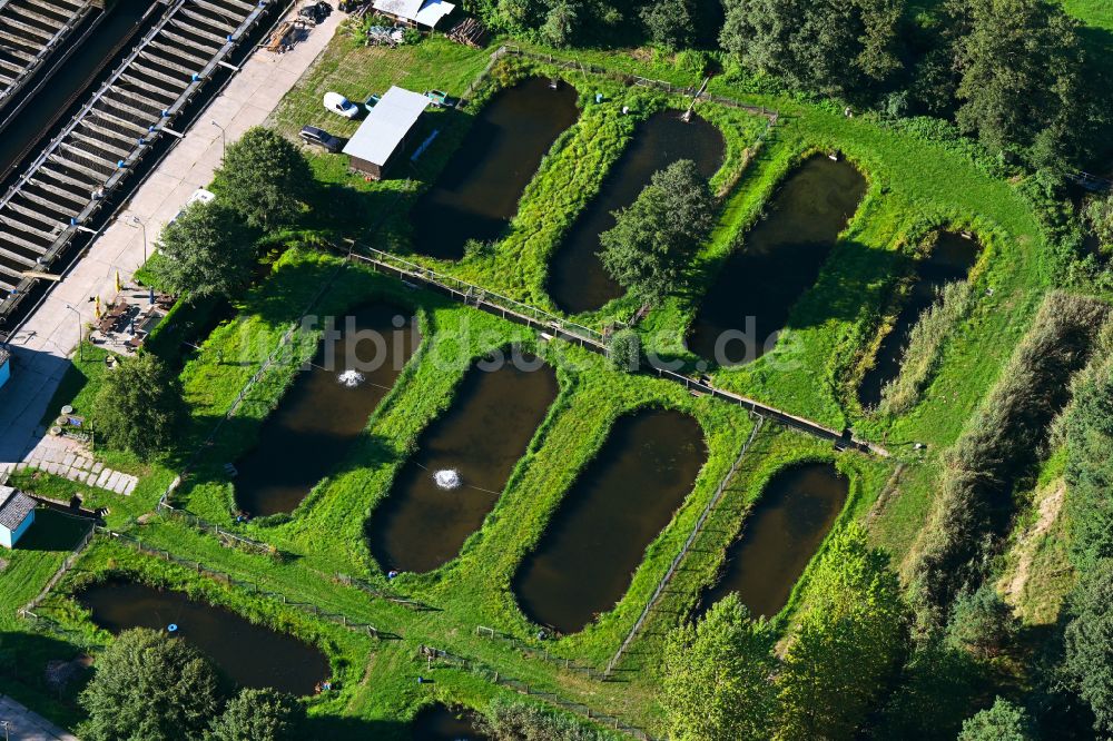 Krangen von oben - Uferbereiche der Teichanlagen zur Fischzucht in Krangen im Bundesland Brandenburg, Deutschland