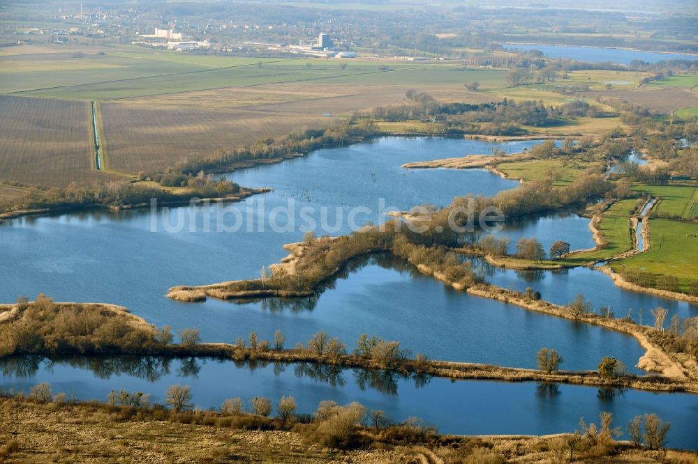 Ribbeck von oben - Uferbereiche der Teichanlagen zur Fischzucht Langer Stich in Ribbeck im Bundesland Brandenburg, Deutschland