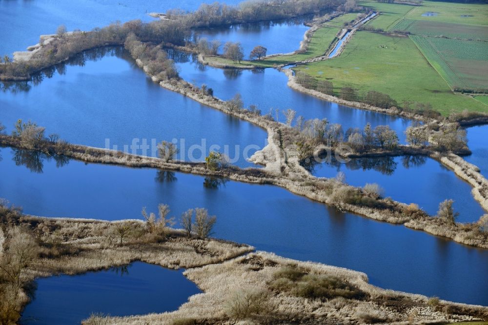 Luftbild Ribbeck - Uferbereiche der Teichanlagen zur Fischzucht Langer Stich in Ribbeck im Bundesland Brandenburg, Deutschland