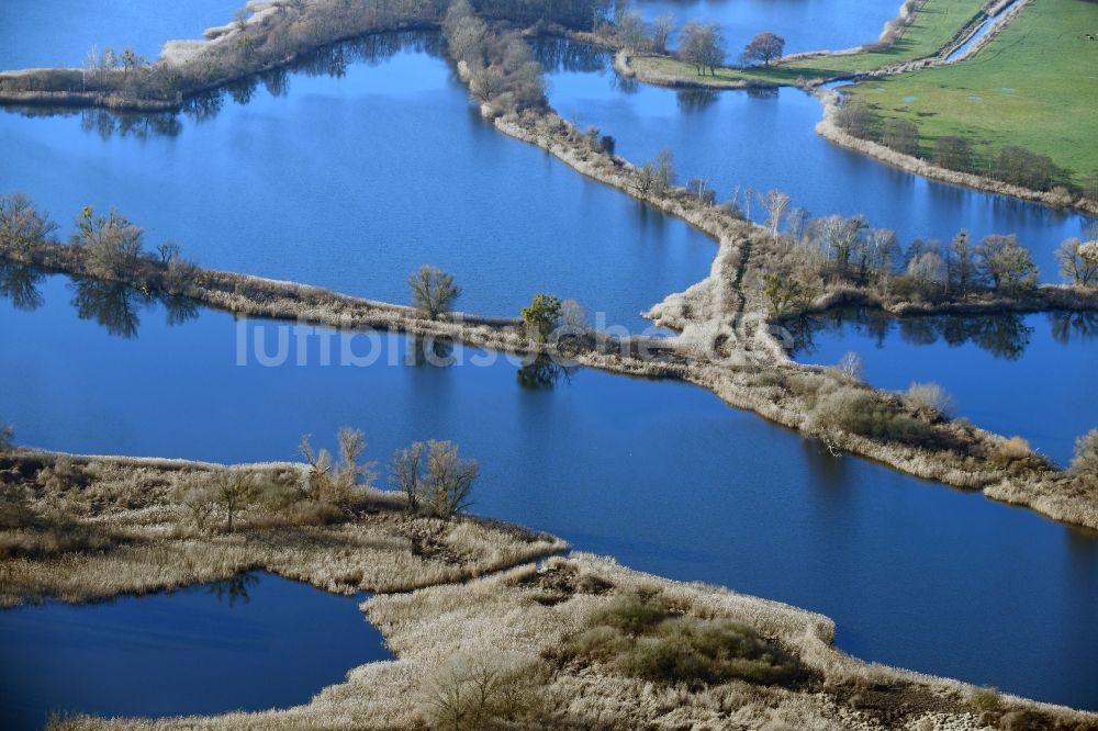 Luftaufnahme Ribbeck - Uferbereiche der Teichanlagen zur Fischzucht Langer Stich in Ribbeck im Bundesland Brandenburg, Deutschland