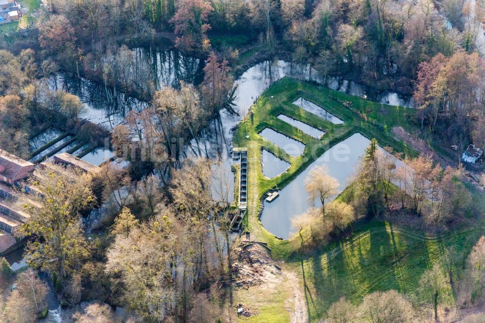 Luftaufnahme Scheibenhard - Uferbereiche der Teichanlagen zur Fischzucht an der Lauter in Scheibenhard in Grand Est, Frankreich