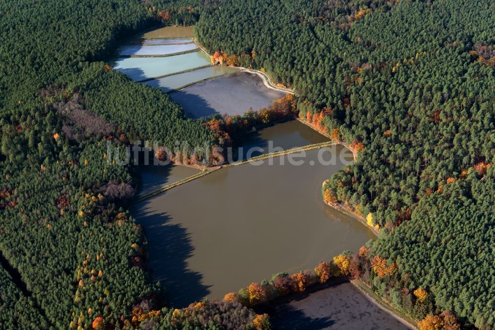 Luftbild Schwarzenbach - Uferbereiche der Teichanlagen zur Fischzucht Limbacher Weiher in Schwarzenbach im Bundesland Bayern, Deutschland