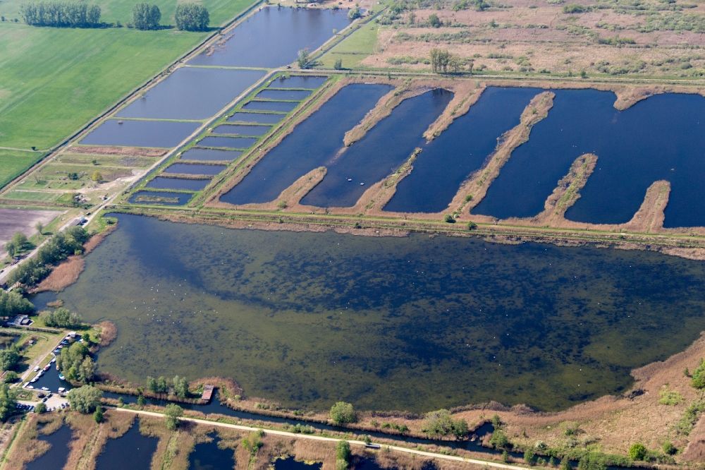 Luftbild Linum - Uferbereiche der Teichanlagen zur Fischzucht in Linum im Bundesland Brandenburg, Deutschland