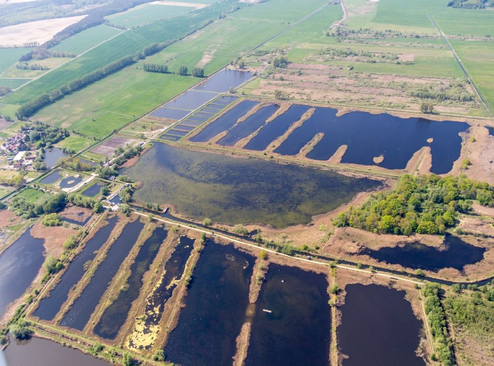Luftaufnahme Linum - Uferbereiche der Teichanlagen zur Fischzucht in Linum im Bundesland Brandenburg, Deutschland