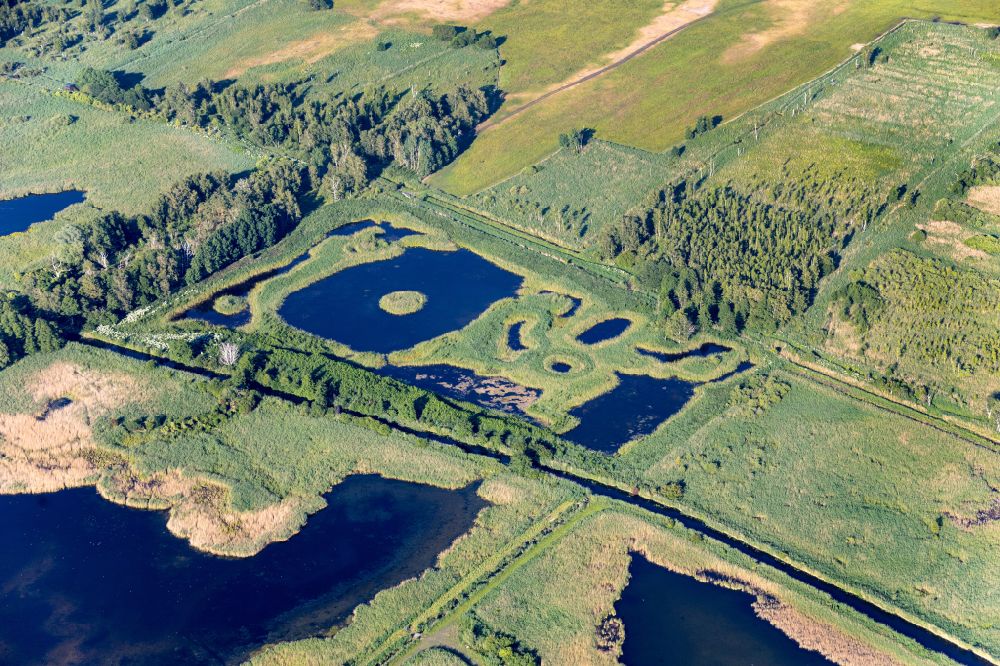 Linum aus der Vogelperspektive: Uferbereiche der Teichanlagen zur Fischzucht in Linum im Bundesland Brandenburg, Deutschland