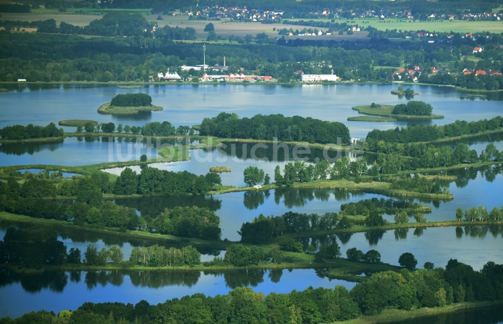Teichland von oben - Uferbereiche der Teichanlagen zur Fischzucht Peitzer Teiche in Teichland im Bundesland Brandenburg, Deutschland