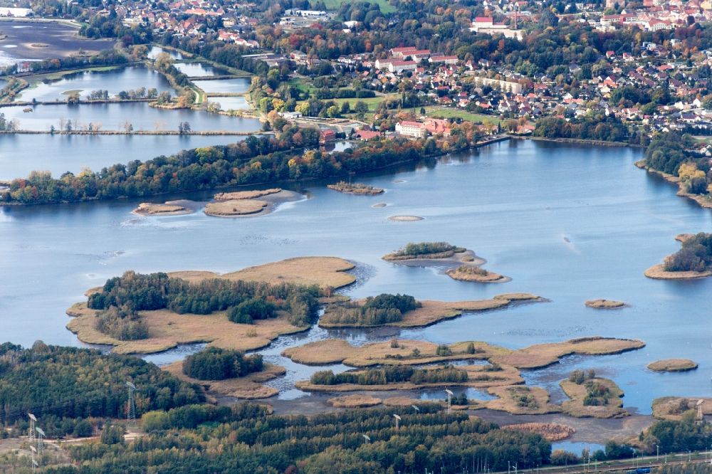 Teichland von oben - Uferbereiche der Teichanlagen zur Fischzucht Peitzer Teiche in Teichland im Bundesland Brandenburg, Deutschland