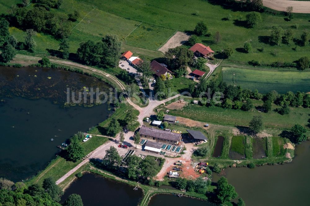 Ettenheim von oben - Uferbereiche der Teichanlagen zur Fischzucht Riegger in Ettenheim im Bundesland Baden-Württemberg, Deutschland