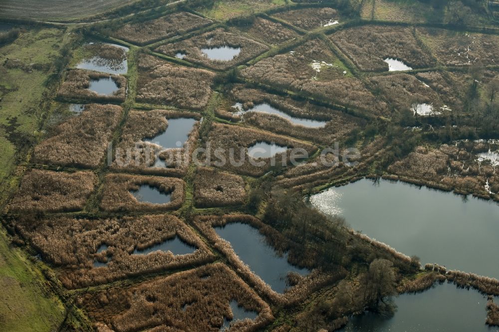 Luftaufnahme Mönchmühle - Uferbereiche des Teichanlagen zur Fischzucht Schönerlinder Teiche in Mönchmühle im Bundesland Brandenburg
