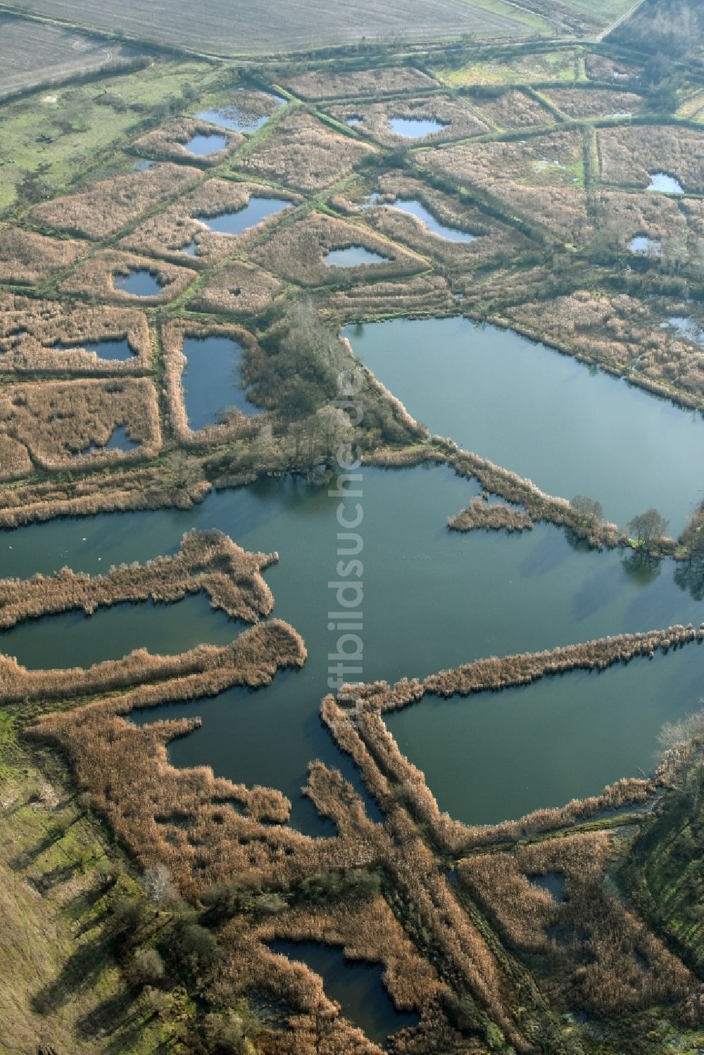 Luftbild Mönchmühle - Uferbereiche des Teichanlagen zur Fischzucht Schönerlinder Teiche in Mönchmühle im Bundesland Brandenburg