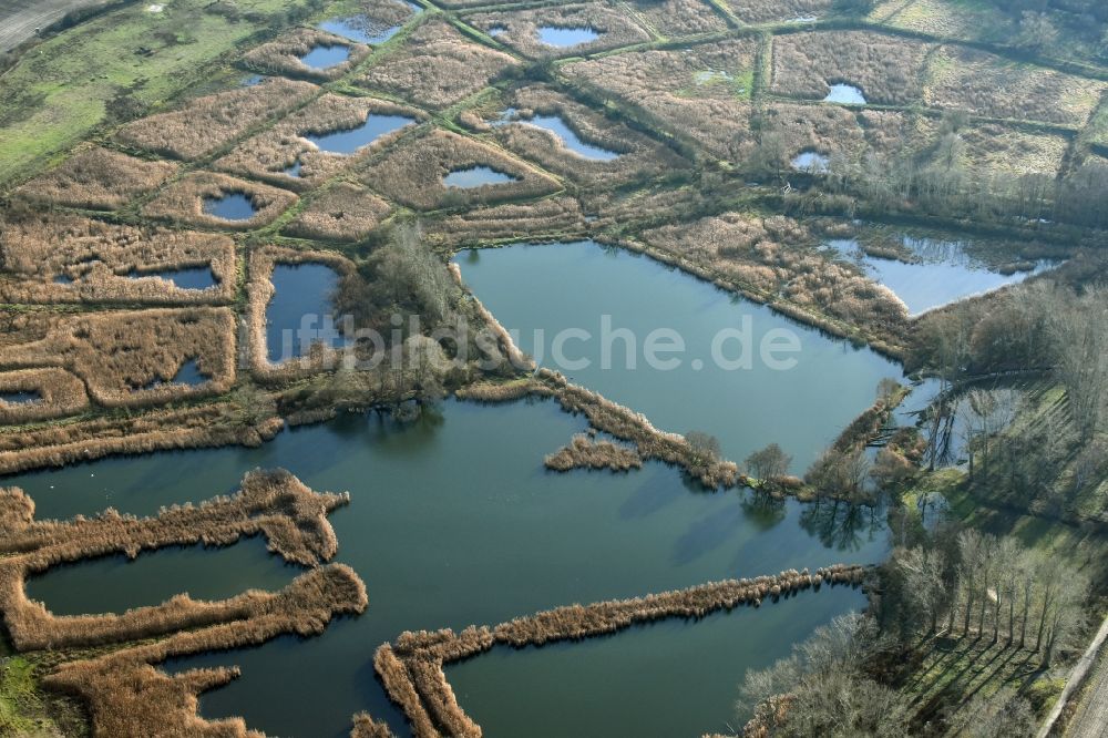 Luftaufnahme Mönchmühle - Uferbereiche des Teichanlagen zur Fischzucht Schönerlinder Teiche in Mönchmühle im Bundesland Brandenburg