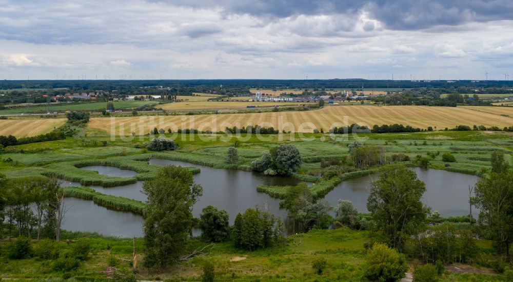 Luftbild Mühlenbecker Land - Uferbereiche des Teichanlagen zur Fischzucht Schönerlinder Teiche in Mönchmühle im Bundesland Brandenburg