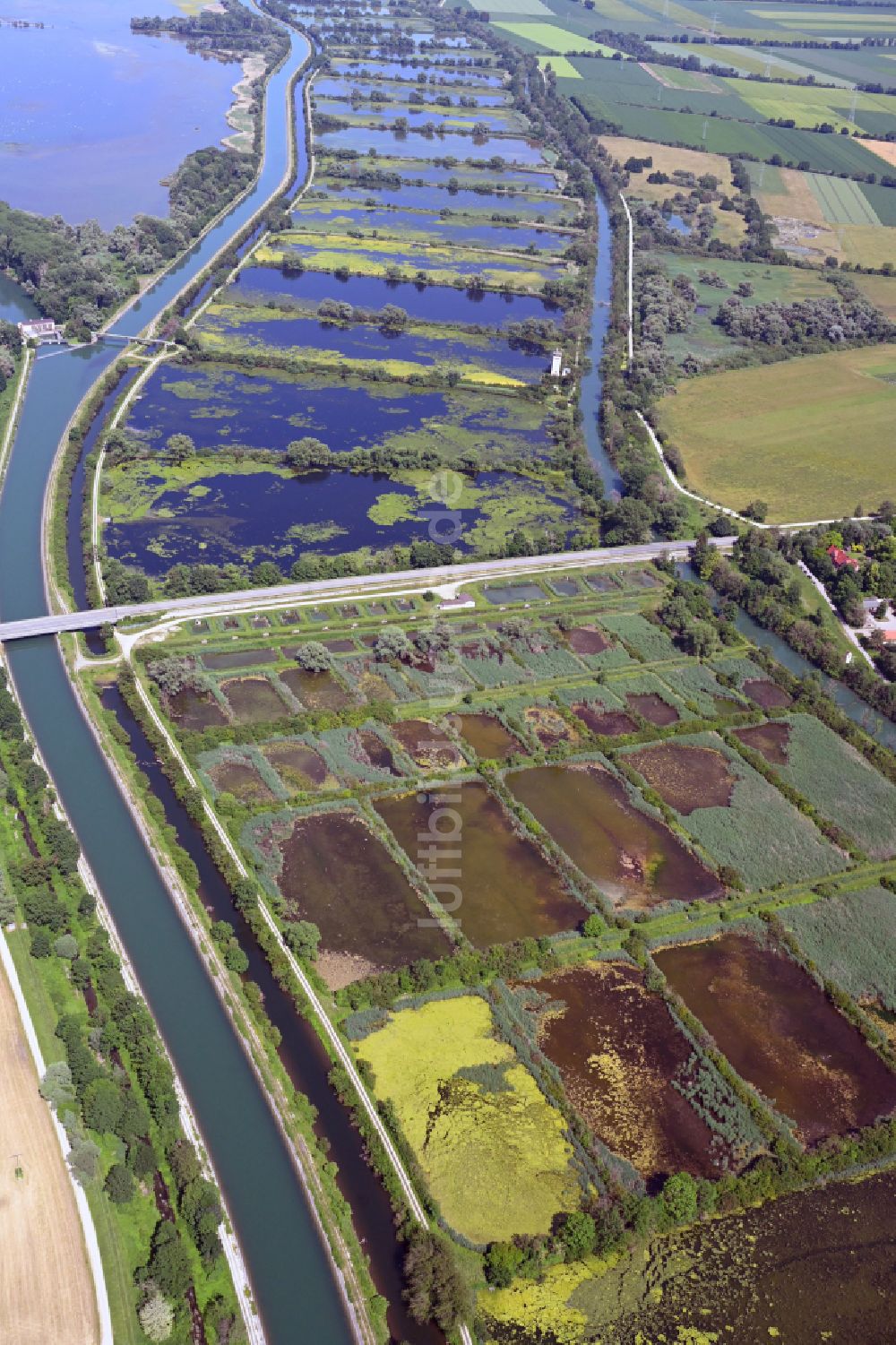Luftbild Aschheim - Uferbereiche der Teichanlagen zur Fischzucht Teichgut Aschheim in Aschheim im Bundesland Bayern, Deutschland