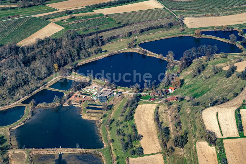 Wallburg von oben - Uferbereiche der Teichanlagen zur Fischzucht in Wallburg im Bundesland Baden-Württemberg, Deutschland
