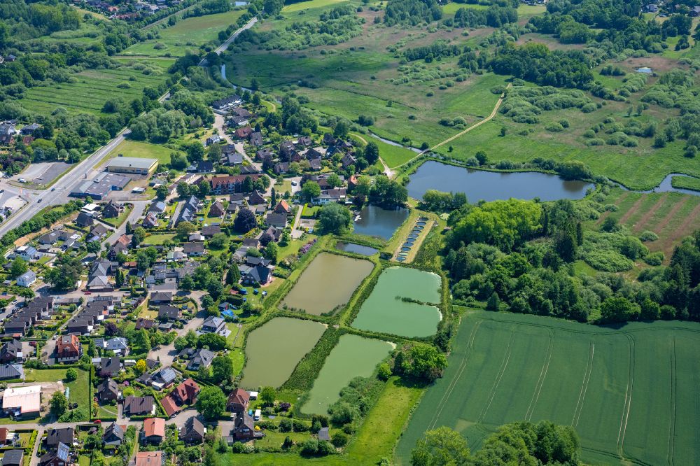 Horneburg aus der Vogelperspektive: Uferbereiche der Teichanlagen zur Fischzucht Wilkens in Horneburg im Bundesland Niedersachsen, Deutschland