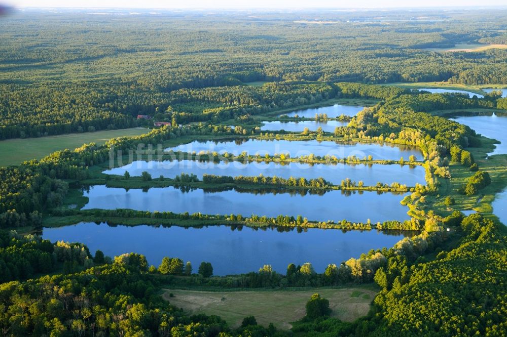 Luftbild Rechlin - Uferbereiche der Teichanlagen zur Fischzucht am Woterfitzsee in Rechlin im Bundesland Mecklenburg-Vorpommern, Deutschland