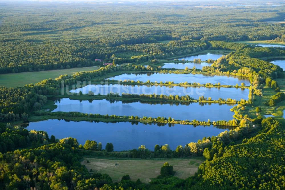 Luftaufnahme Rechlin - Uferbereiche der Teichanlagen zur Fischzucht am Woterfitzsee in Rechlin im Bundesland Mecklenburg-Vorpommern, Deutschland