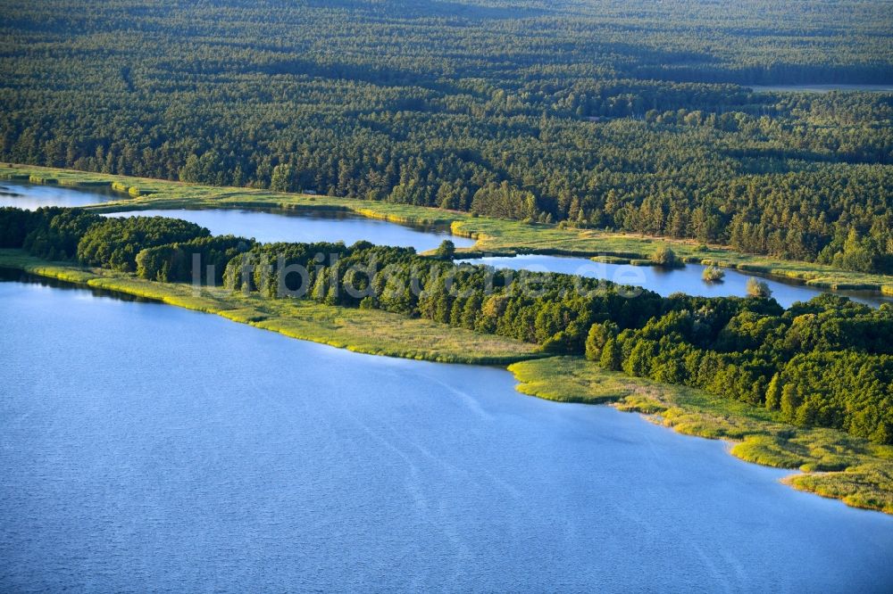 Rechlin von oben - Uferbereiche der Teichanlagen zur Fischzucht am Woterfitzsee in Rechlin im Bundesland Mecklenburg-Vorpommern, Deutschland