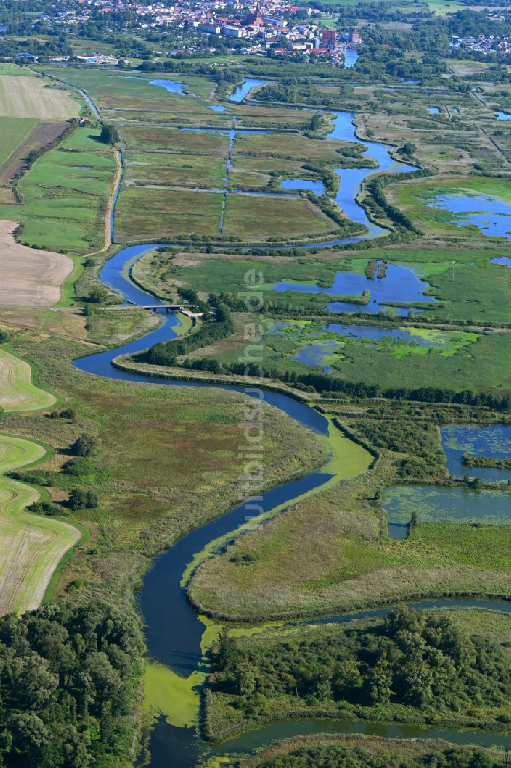 Luftbild Wotenick - Uferbereiche am Trebel - Flussverlauf in Wotenick im Bundesland Mecklenburg-Vorpommern, Deutschland