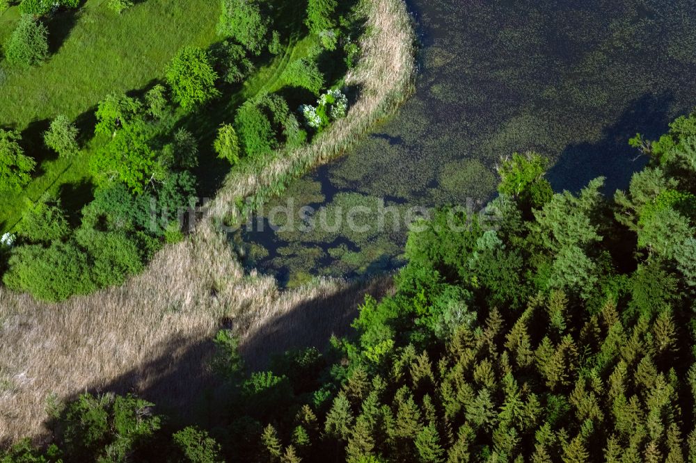 Salem aus der Vogelperspektive: Uferbereiche mit Verlandung am Killenweiher in Salem im Bundesland Baden-Württemberg, Deutschland