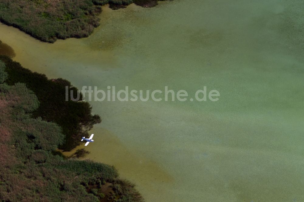 Luftaufnahme Reichenau - Uferbereiche des Wollmatinger Ried - Untersee - Gnadensee an der Insel Reichenau in Reichenau im Bundesland Baden-Württemberg, Deutschland