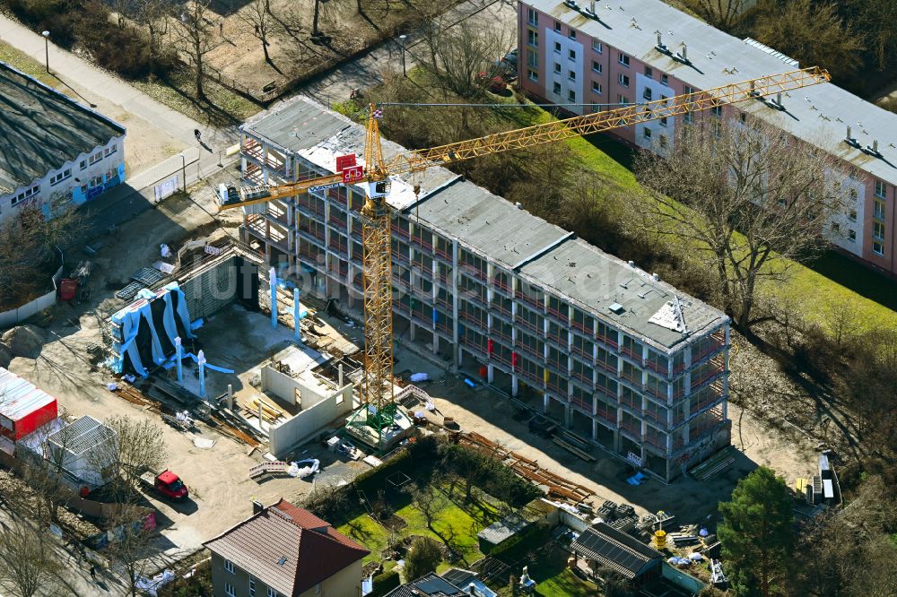 Berlin aus der Vogelperspektive: Umbau und Modernisierung des Schulgebäudes ELISABETH-CHRISTINEN-GRUNDSCHULE in Berlin, Deutschland
