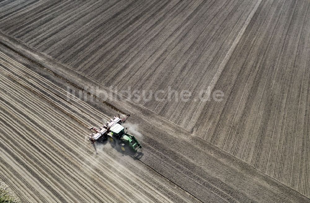 Luftaufnahme Haseloff - Umpflugarbeiten und Umschichtung der Erde durch einen Traktor mit Pflug auf landwirtschaftlichen Feldern in Haseloff im Bundesland Brandenburg, Deutschland