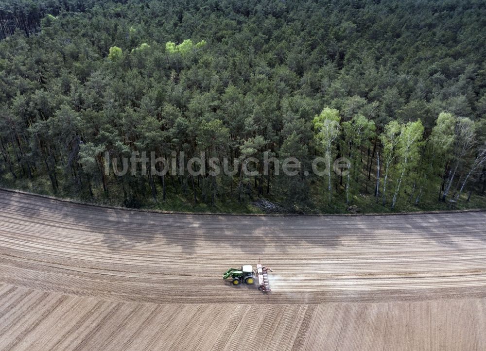 Luftbild Haseloff - Umpflugarbeiten und Umschichtung der Erde durch einen Traktor mit Pflug auf landwirtschaftlichen Feldern in Haseloff im Bundesland Brandenburg, Deutschland
