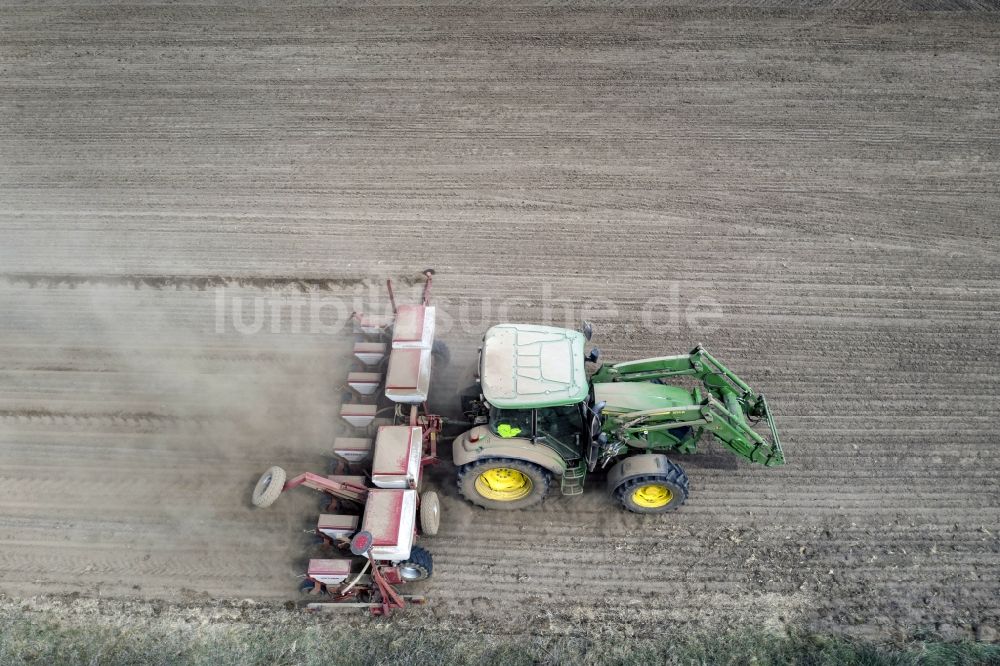 Haseloff von oben - Umpflugarbeiten und Umschichtung der Erde durch einen Traktor mit Pflug auf landwirtschaftlichen Feldern in Haseloff im Bundesland Brandenburg, Deutschland