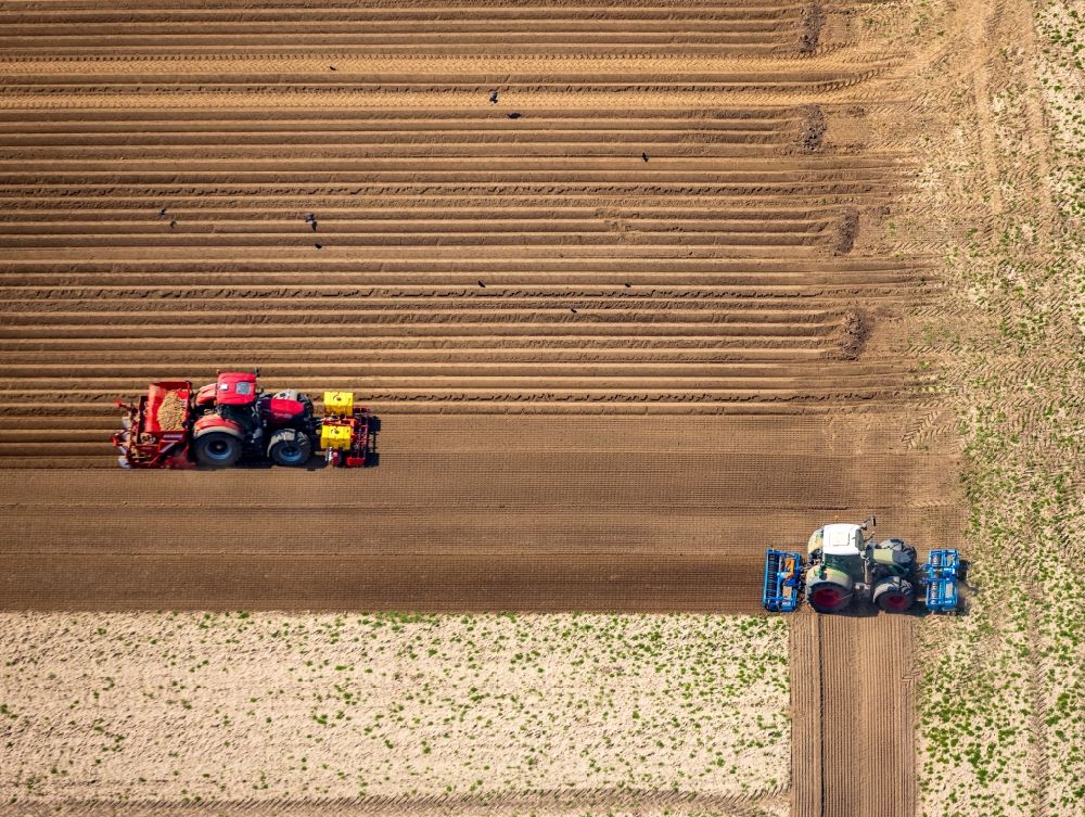 Rees aus der Vogelperspektive: Umpflugarbeiten und Umschichtung der Erde durch einen Traktor mit Pflug auf landwirtschaftlichen Feldern in Rees im Bundesland Nordrhein-Westfalen, Deutschland